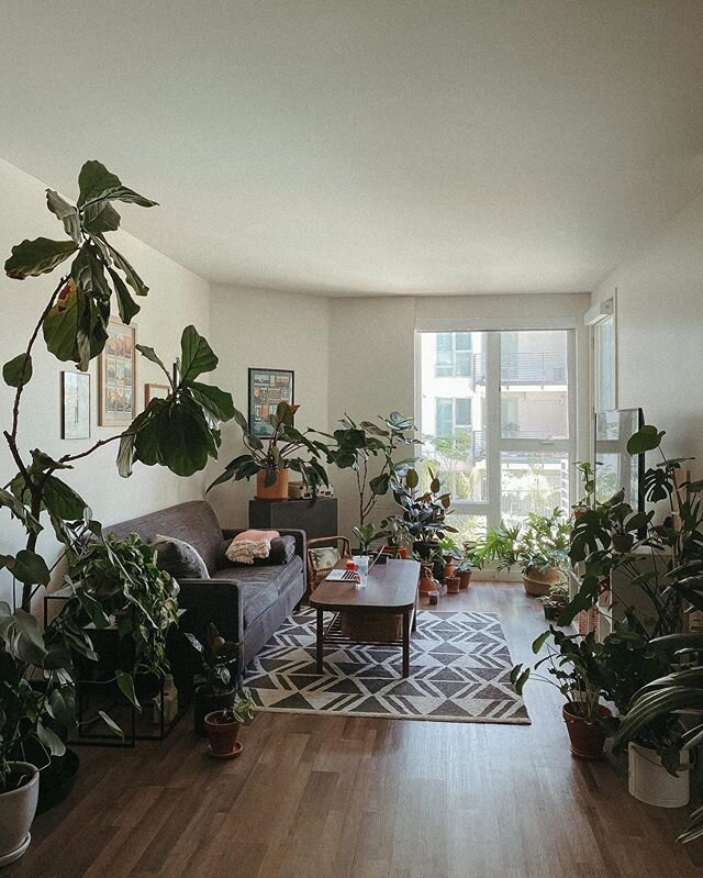 Home Sweet Home 🌞
.
Have you seen our Houseplant Tour yet? It&rsquo;s one of my favorite posts on our blog (and our most popular). Link in bio, go check it out!